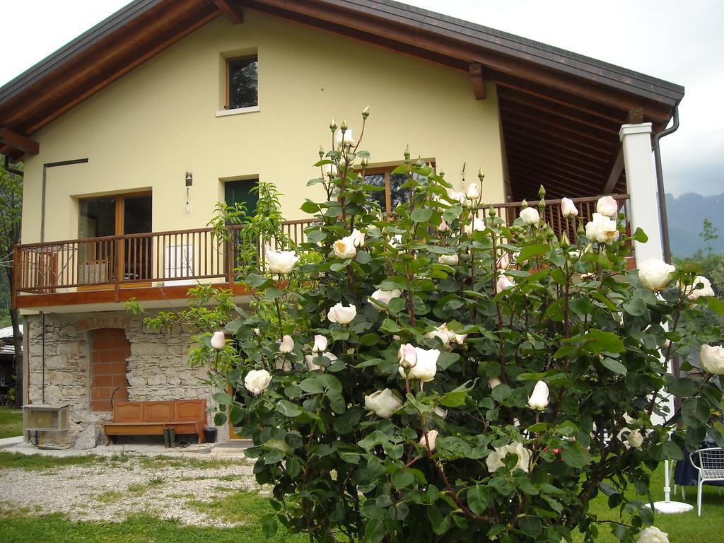 Agriturismo Il Girasole Feltre Exterior foto